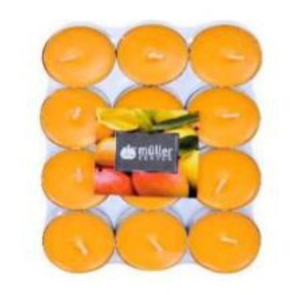 S12 CANDLES MANGO