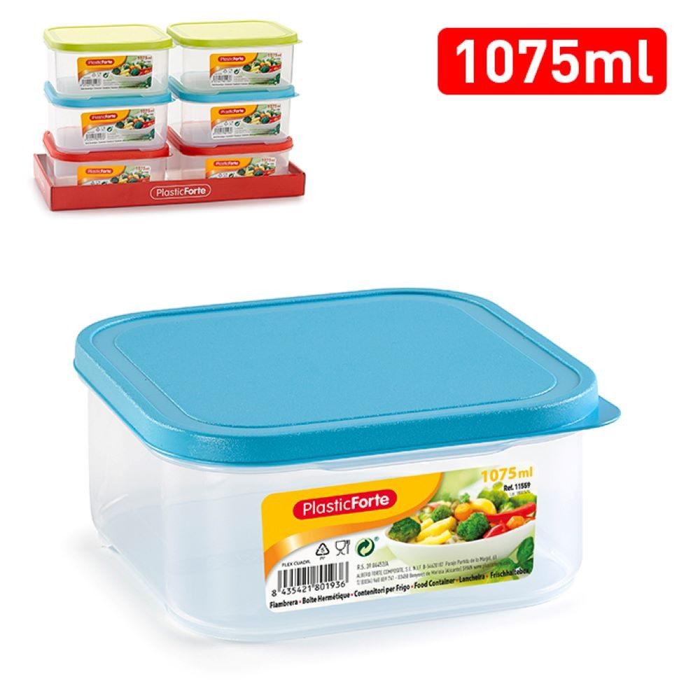 FLEX SQUARE LUNCH BOX
