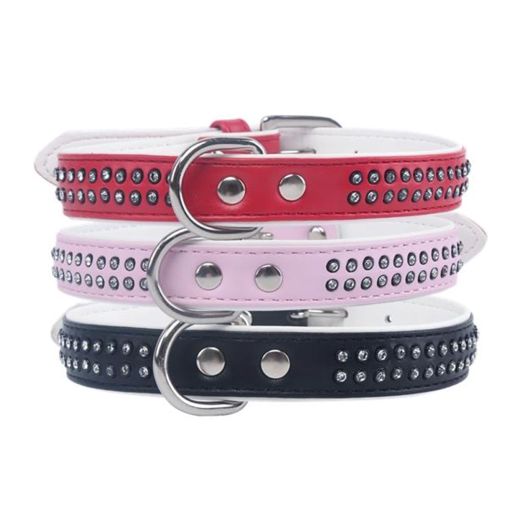 Dog Collar C / Studs