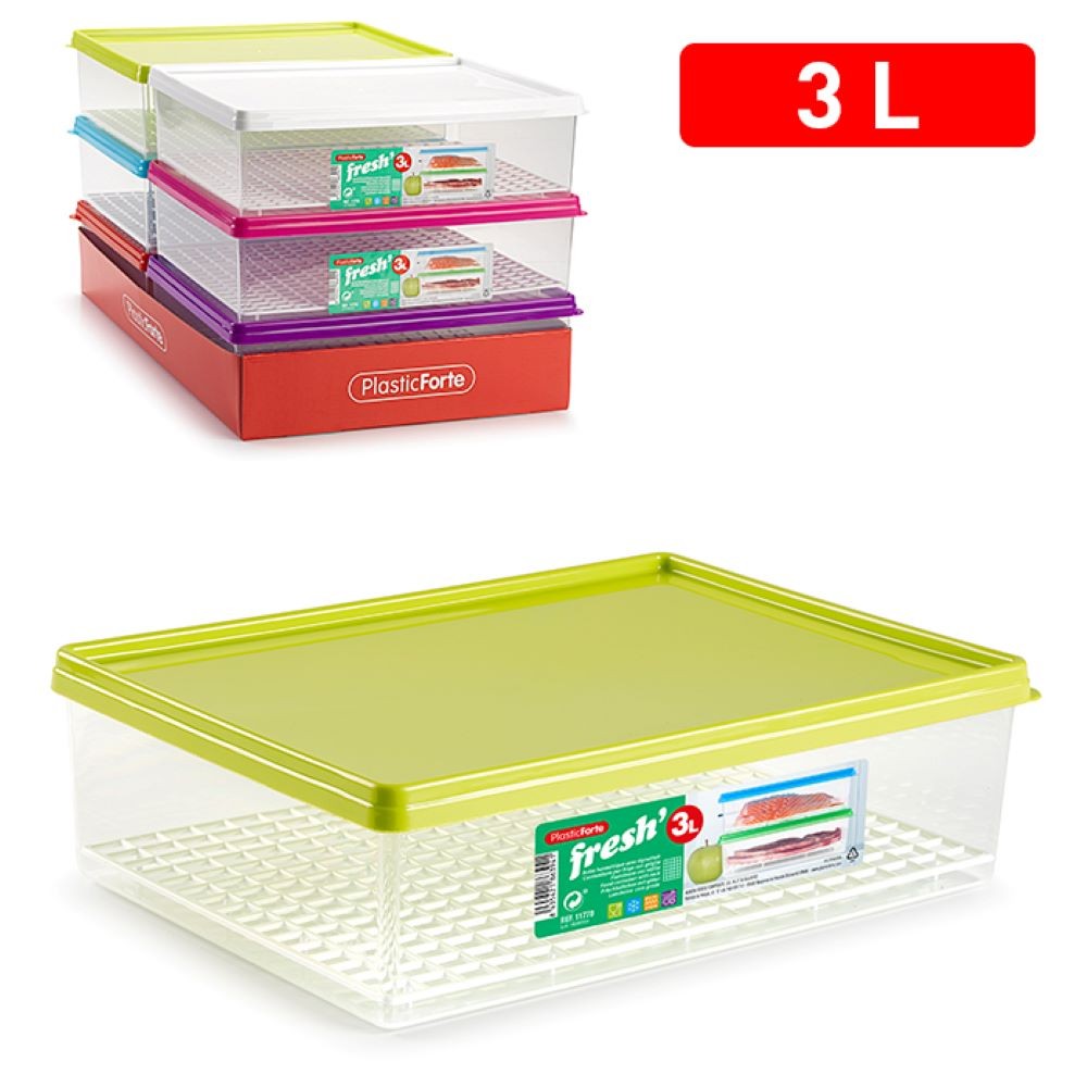 LUNCH BOX W / GRID 3L