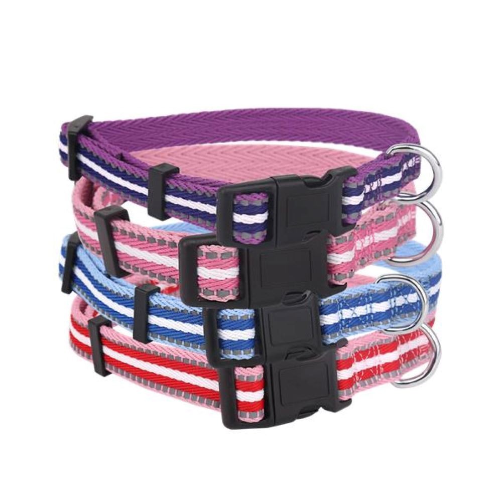 Dog collar / line W2