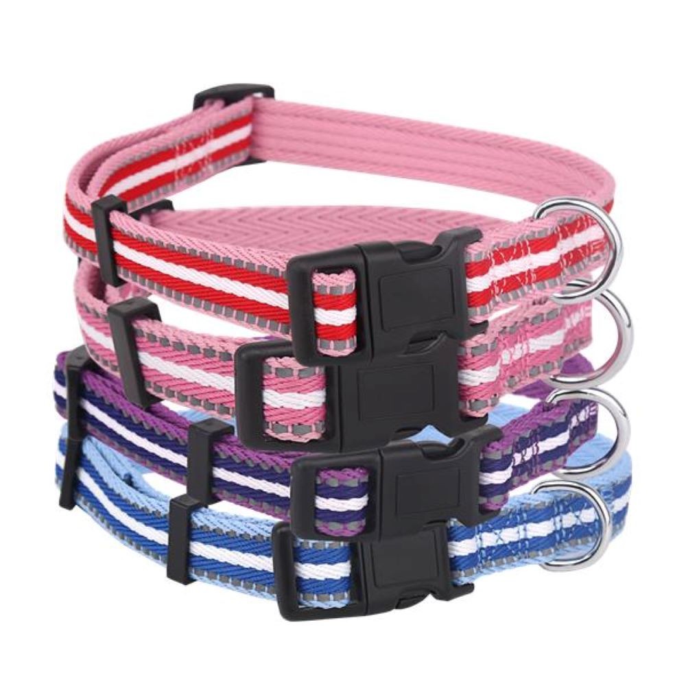 Dog collar / line W2.5