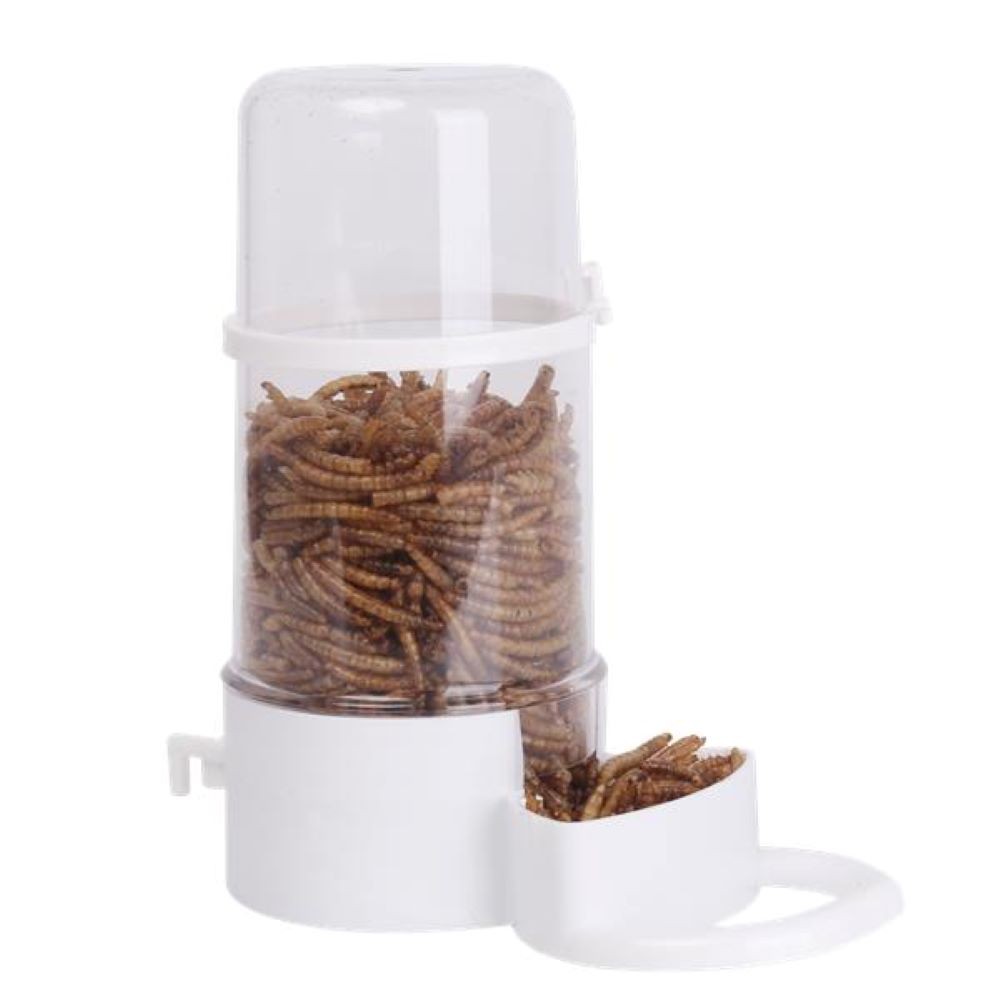 Bird feeder / transparent