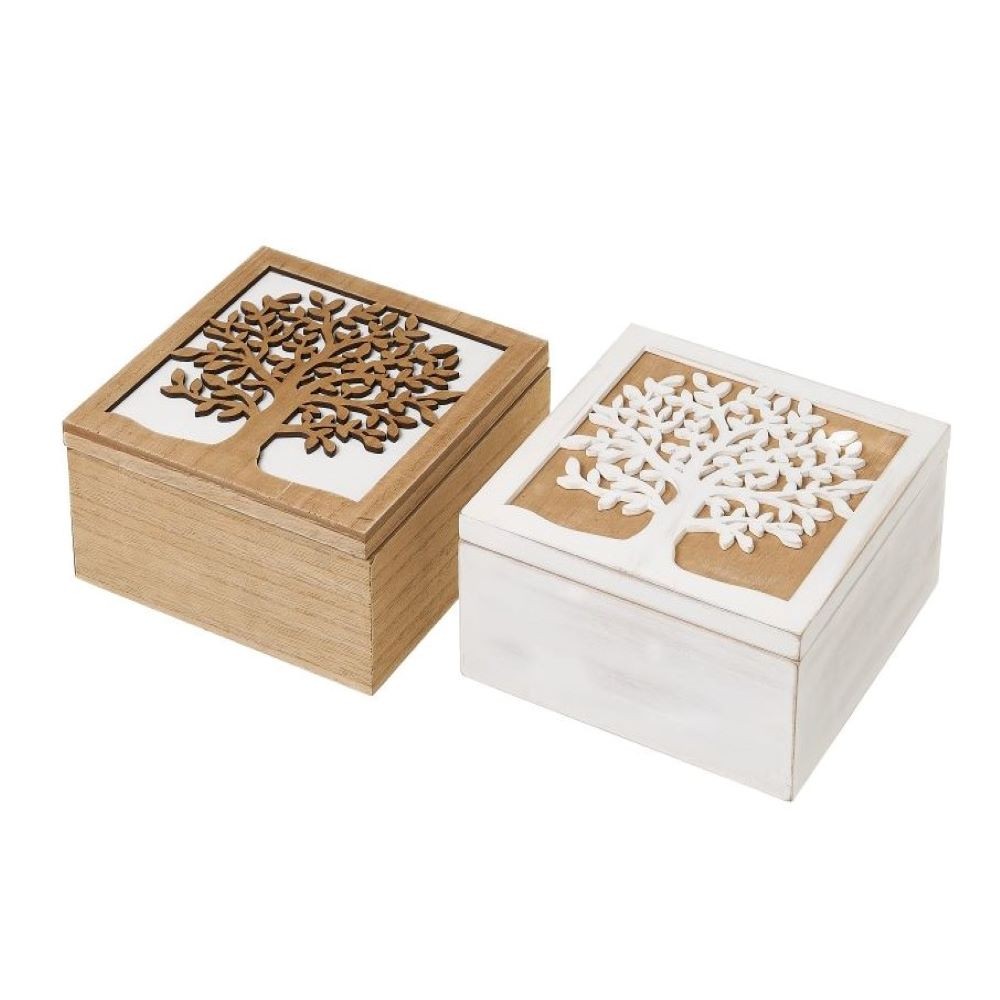 BOX-TREE LIFE BROWN / WHITE