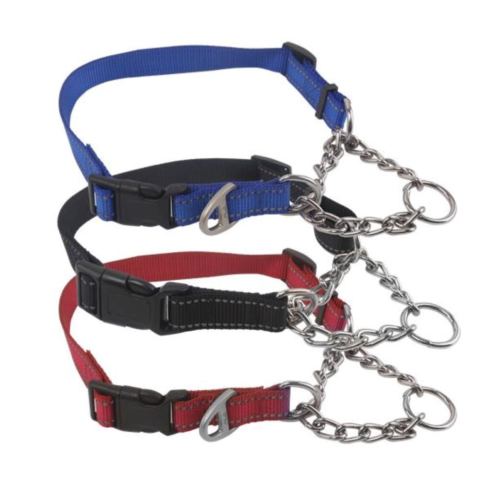 DOG training collar